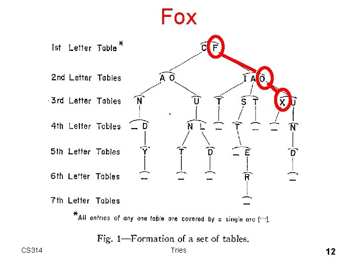 Fox CS 314 Tries 12 