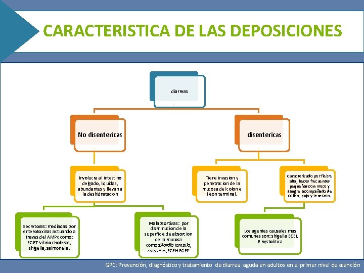 CARACTERISTICA DE LAS DEPOSICIONES diarreas No disentericas Episodio diarreico: “es el que cumple el