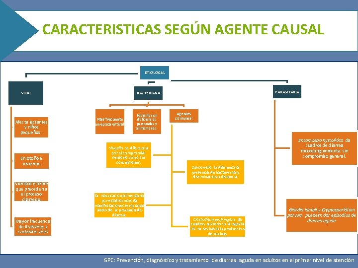 CARACTERISTICAS SEGÚN AGENTE CAUSAL ETIOLOGIA VIRAL Afecta lactantes y niños pequeños. PARASITARIA BACTERIANA Mas