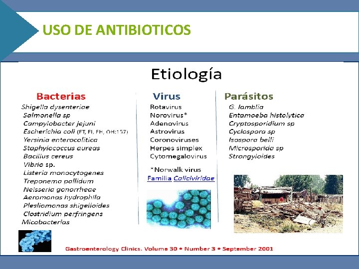 USO DE ANTIBIOTICOS • Considerar tratamiento antimicrobiano para: • Infecciones persistentes por Shigella sp,