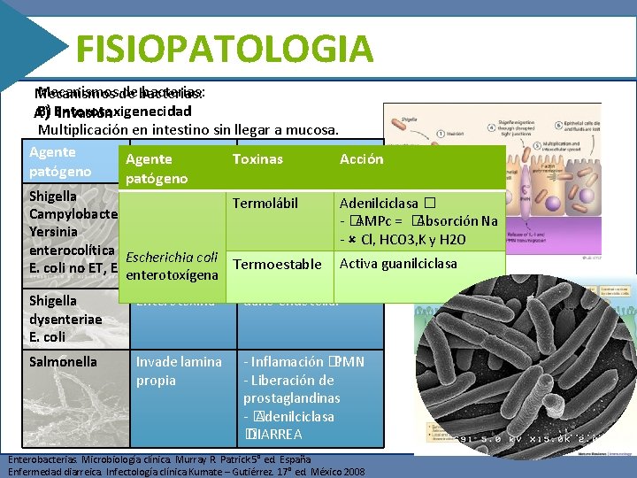 FISIOPATOLOGIA Mecanismos de de bacterias: Mecanismos B) Entorotoxigenecidad A) Invasión Multiplicación en intestino sin