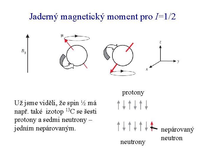 Jaderný magnetický moment pro I=1/2 protony Už jsme viděli, že spin ½ má např.