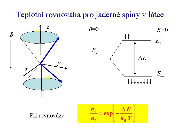 Teplotní rovnováha pro jaderné spiny v látce z B=0 B B>0 E+ E 0