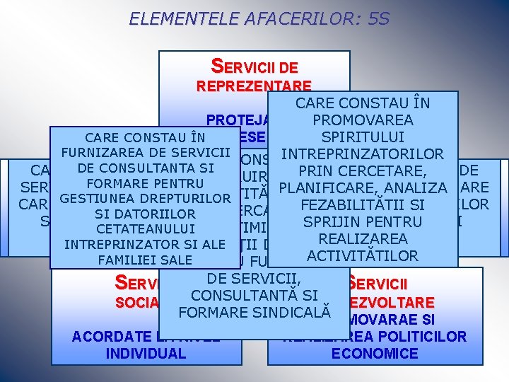 ELEMENTELE AFACERILOR: 5 S SERVICII DE REPREZENTARE CONSTAU ÎN PROTEJAREA PROMOVAREA CARE CONSTAU ÎN