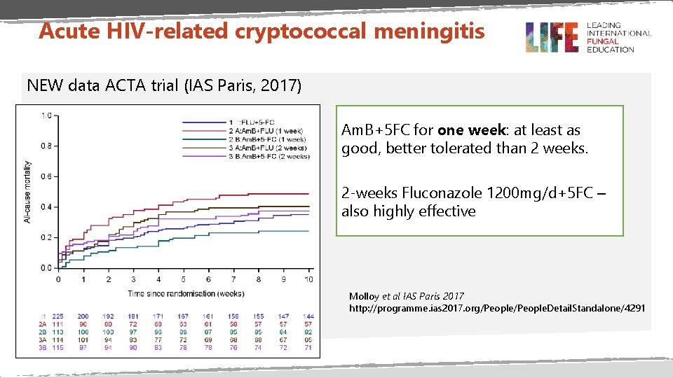 Acute HIV-related cryptococcal meningitis NEW data ACTA trial (IAS Paris, 2017) Am. B+5 FC