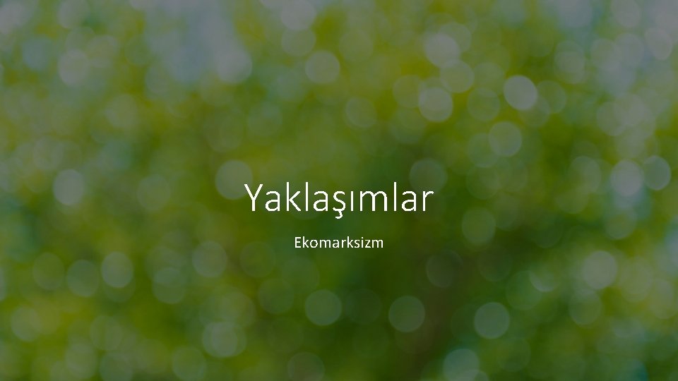 Yaklaşımlar Ekomarksizm 