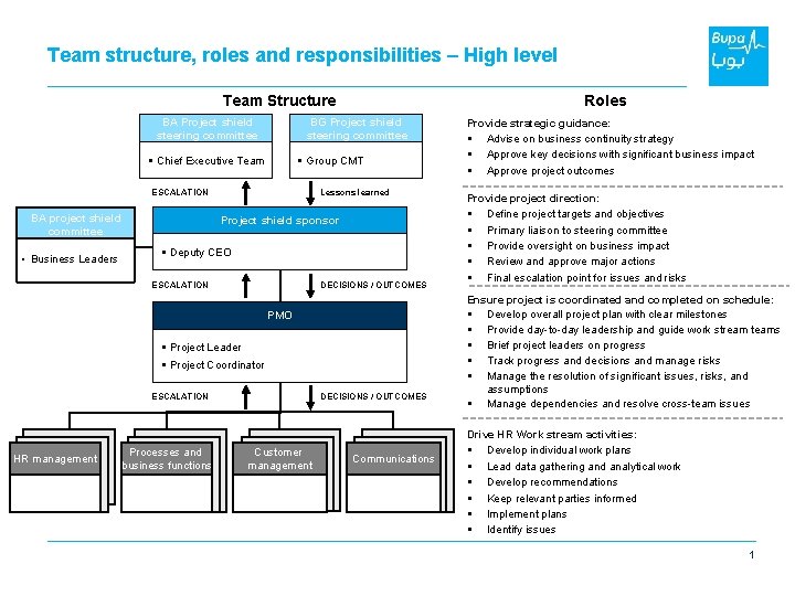 Team structure, roles and responsibilities – High level Team Structure BA Project shield steering