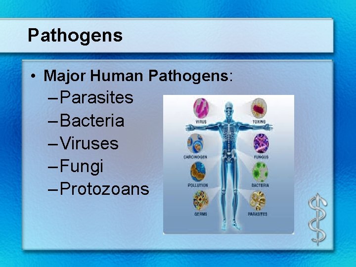 Pathogens • Major Human Pathogens: – Parasites – Bacteria – Viruses – Fungi –