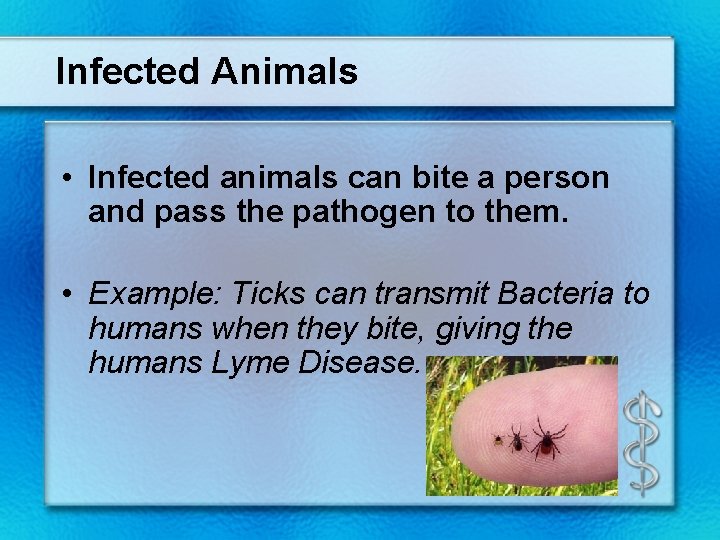 Infected Animals • Infected animals can bite a person and pass the pathogen to
