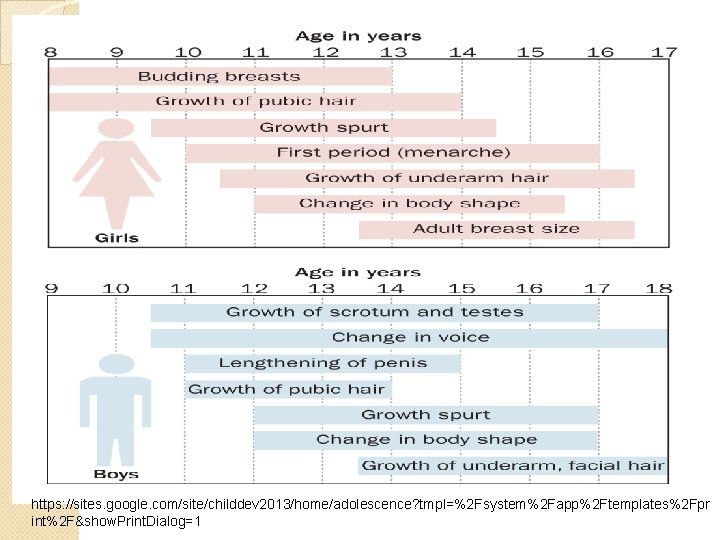 https: //sites. google. com/site/childdev 2013/home/adolescence? tmpl=%2 Fsystem%2 Fapp%2 Ftemplates%2 Fpr int%2 F&show. Print. Dialog=1