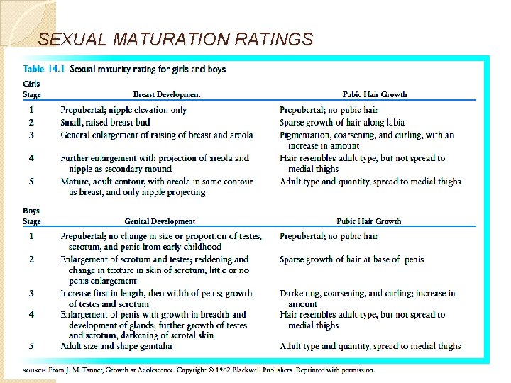 SEXUAL MATURATION RATINGS 33 