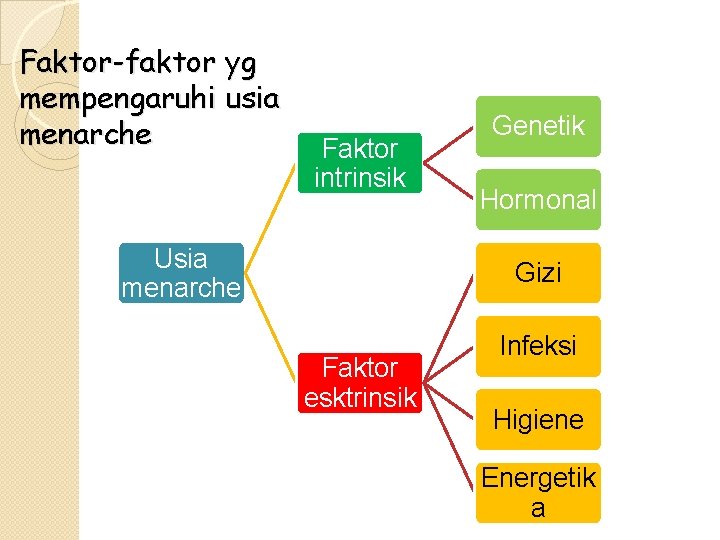 Faktor-faktor yg mempengaruhi usia menarche Faktor intrinsik Usia menarche Genetik Hormonal Gizi Faktor esktrinsik