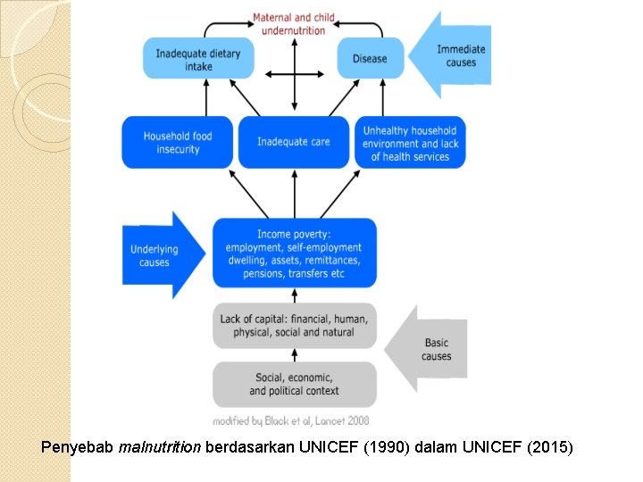 Penyebab malnutrition berdasarkan UNICEF (1990) dalam UNICEF (2015) 