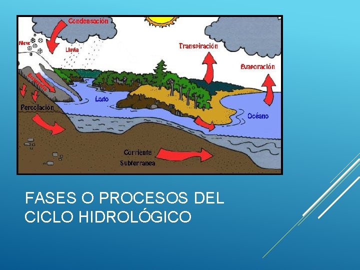 FASES O PROCESOS DEL CICLO HIDROLÓGICO 