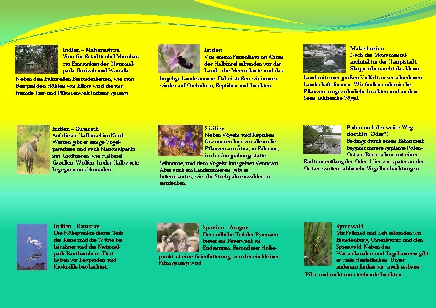 Indien – Maharashtra Vom Großstadttrubel Mumbais zur Einsamkeit der Nationalparks Borivali und Wansda. Neben