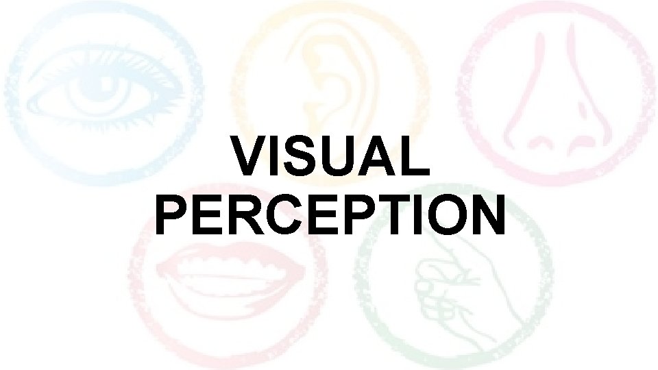 VISUAL PERCEPTION 