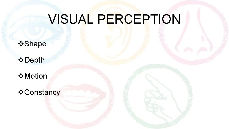 VISUAL PERCEPTION v. Shape v. Depth v. Motion v. Constancy 