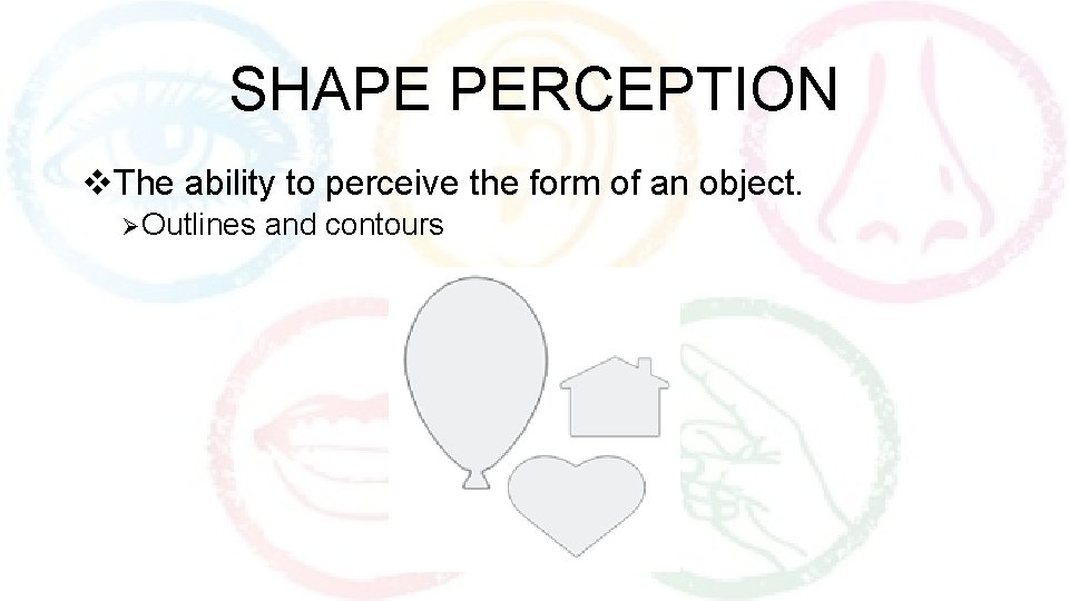 SHAPE PERCEPTION v. The ability to perceive the form of an object. Ø Outlines