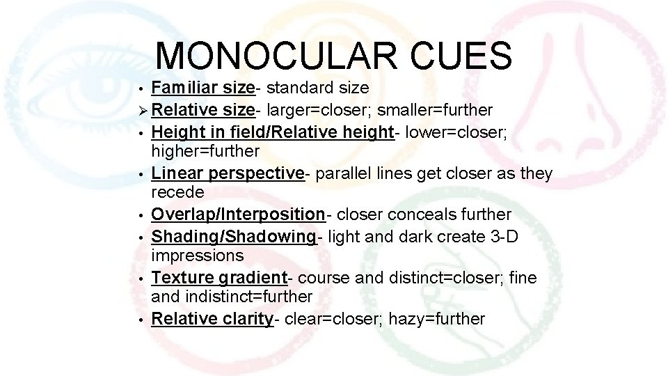 MONOCULAR CUES Familiar size- standard size Ø Relative size- larger=closer; smaller=further • Height in