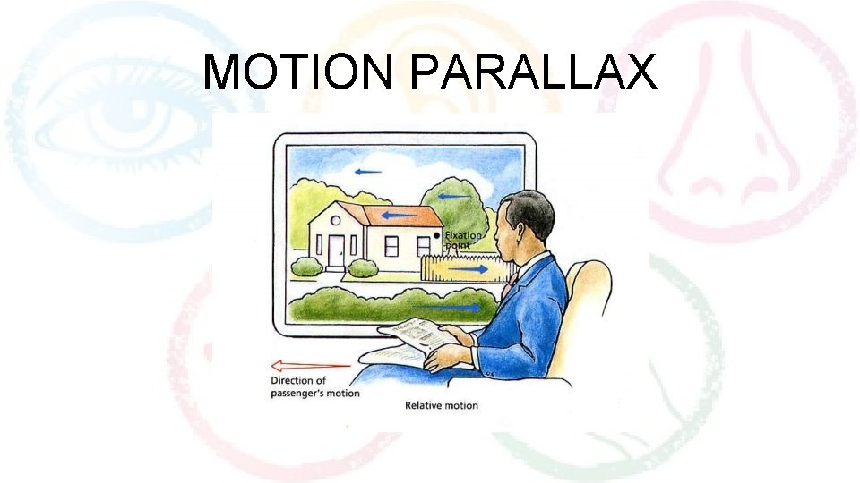 MOTION PARALLAX 