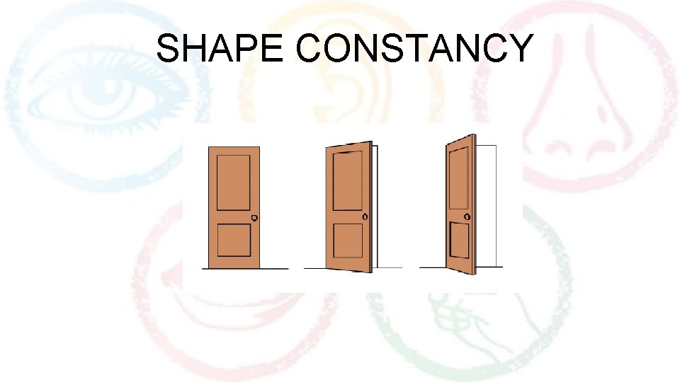 SHAPE CONSTANCY 