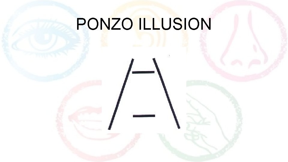 PONZO ILLUSION 