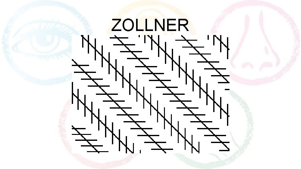 ZOLLNER 