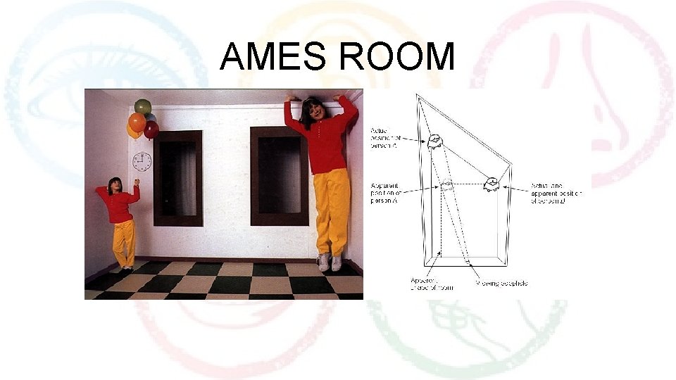 AMES ROOM 