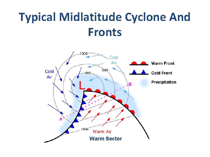 Typical Midlatitude Cyclone And Fronts Warm Sector 
