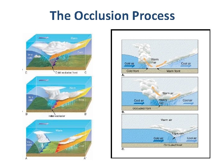 The Occlusion Process 