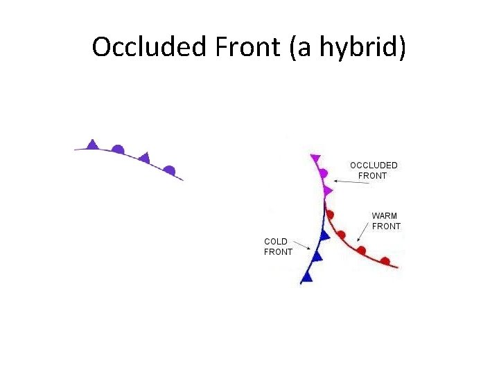 Occluded Front (a hybrid) 