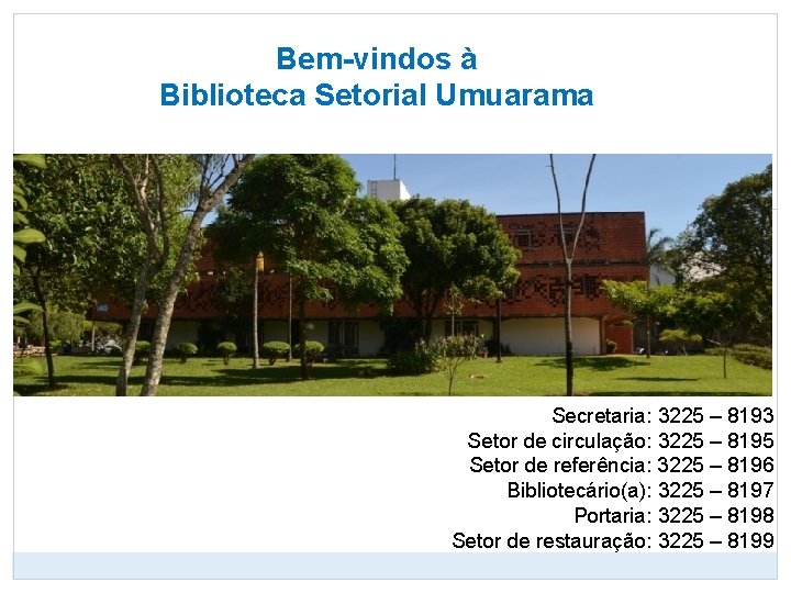 Bem-vindos à Biblioteca Setorial Umuarama Secretaria: 3225 – 8193 Setor de circulação: 3225 –