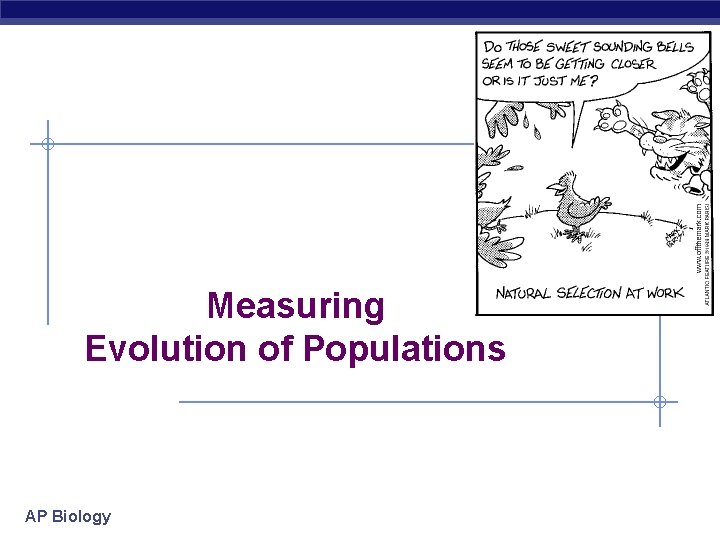 Measuring Evolution of Populations AP Biology 