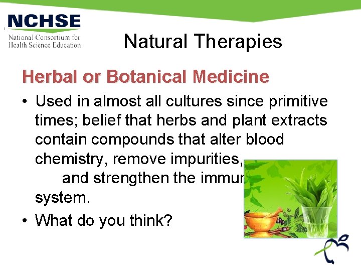 Natural Therapies Herbal or Botanical Medicine • Used in almost all cultures since primitive