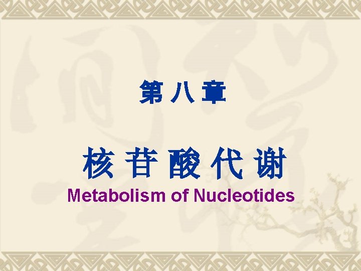 第八章 核苷酸代谢 Metabolism of Nucleotides 