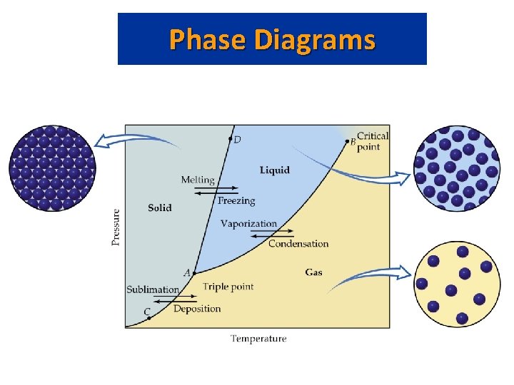 Phase Diagrams 