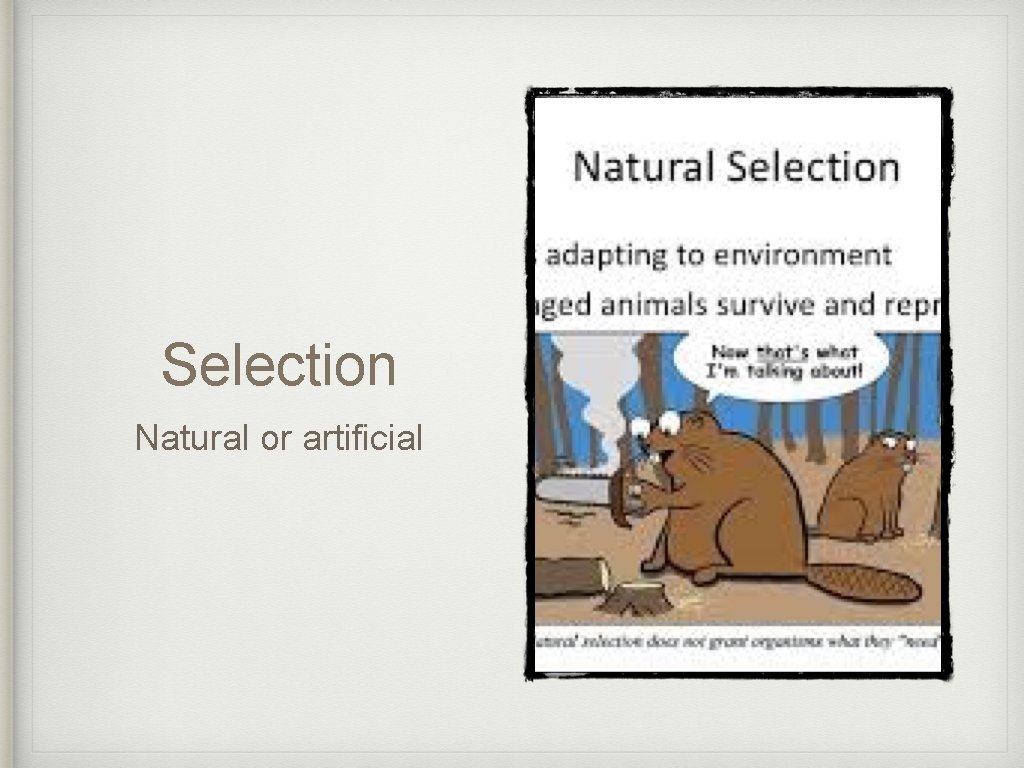 Selection Natural or artificial 