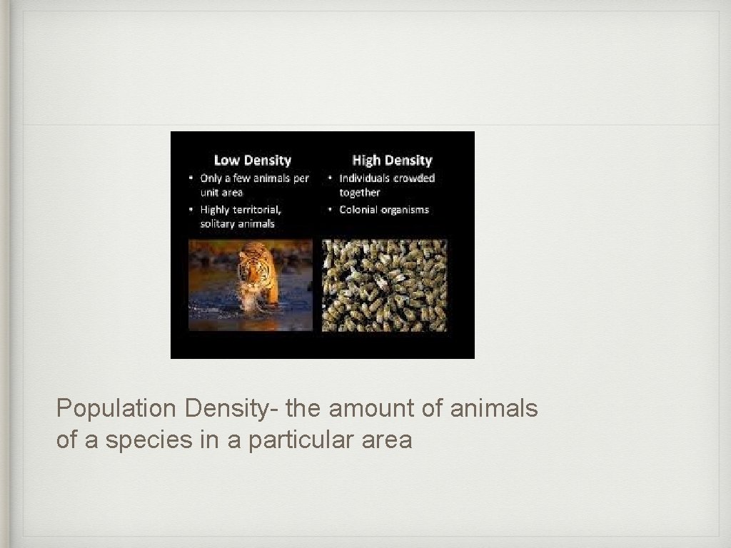Population Density- the amount of animals of a species in a particular area 