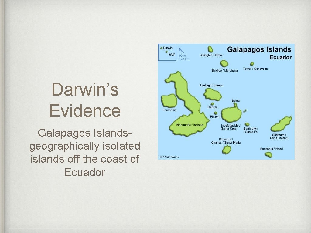 Darwin’s Evidence Galapagos Islandsgeographically isolated islands off the coast of Ecuador 