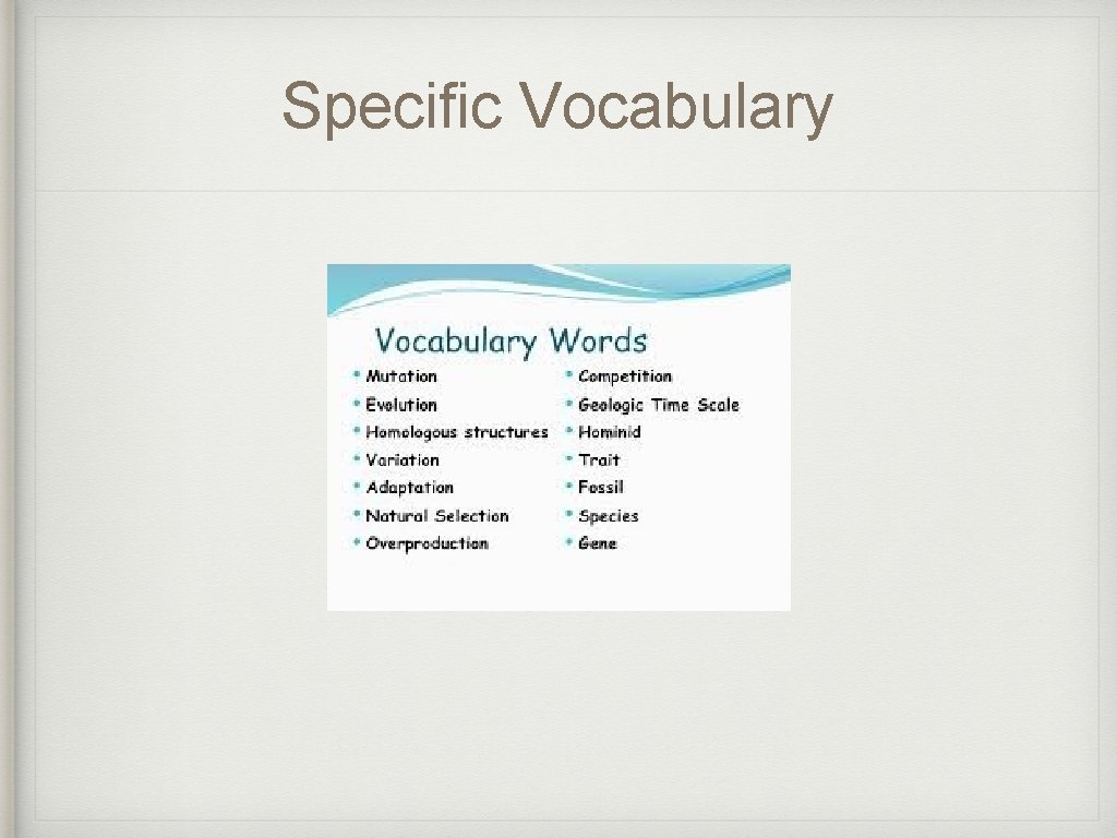 Specific Vocabulary 