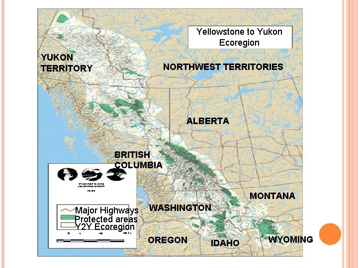 Yellowstone to Yukon Ecoregion YUKON TERRITORY NORTHWEST TERRITORIES ALBERTA BRITISH COLUMBIA YELLOWSTONE TO YUKON