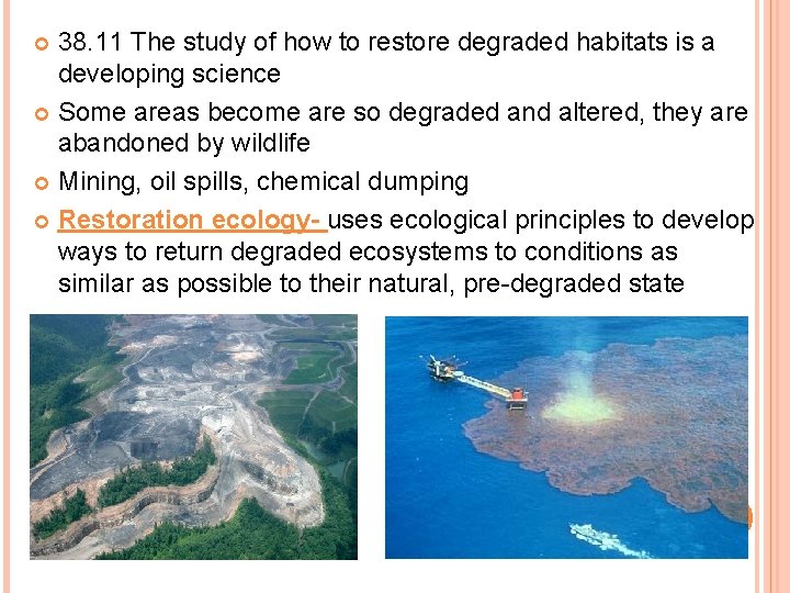 38. 11 The study of how to restore degraded habitats is a developing science