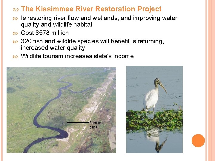  The Kissimmee River Restoration Project Is restoring river flow and wetlands, and improving