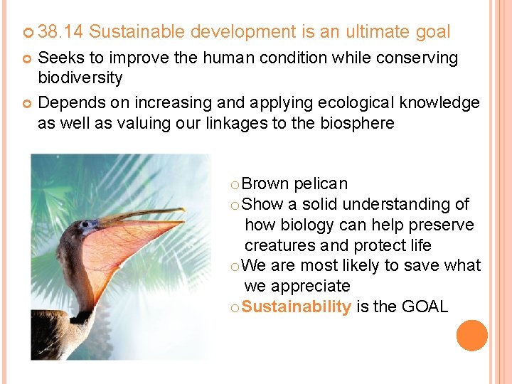 38. 14 Sustainable development is an ultimate goal Seeks to improve the human