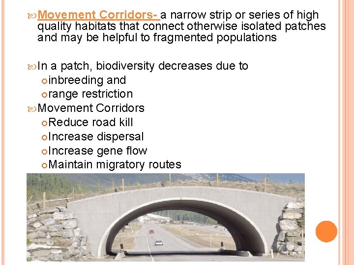  Movement Corridors- a narrow strip or series of high quality habitats that connect