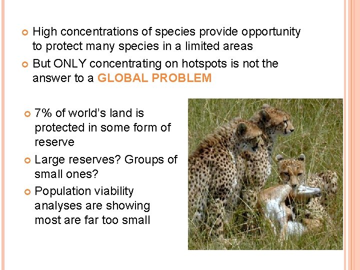 High concentrations of species provide opportunity to protect many species in a limited areas