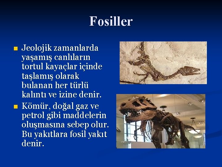 Fosiller n n Jeolojik zamanlarda yaşamış canlıların tortul kayaçlar içinde taşlamış olarak bulanan her