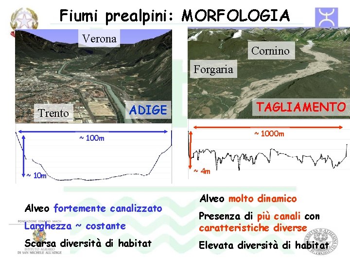 Fiumi prealpini: MORFOLOGIA Verona Cornino Forgaria TAGLIAMENTO ADIGE Trento ~ 1000 m ~ 10