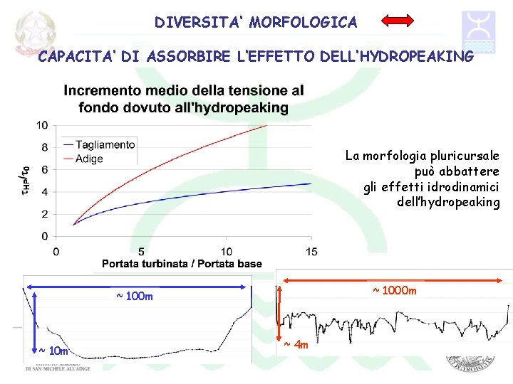 DIVERSITA‘ MORFOLOGICA CAPACITA‘ DI ASSORBIRE L‘EFFETTO DELL‘HYDROPEAKING La morfologia pluricursale può abbattere gli effetti