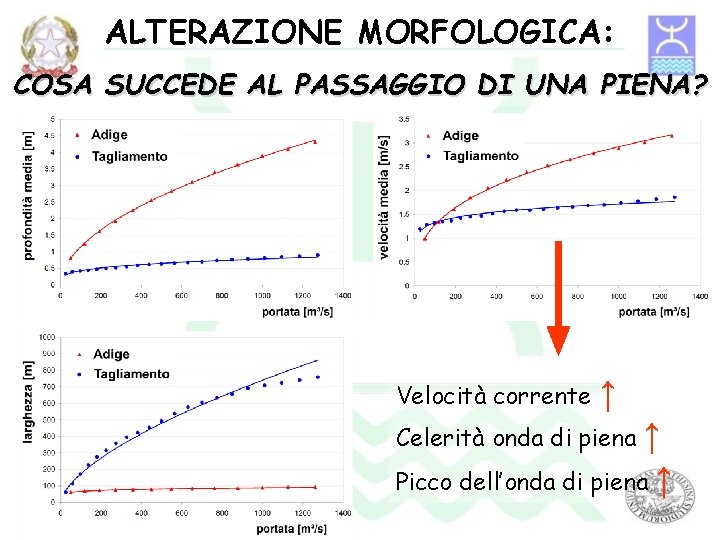 ALTERAZIONE MORFOLOGICA: COSA SUCCEDE AL PASSAGGIO DI UNA PIENA? Velocità corrente ↑ Celerità onda